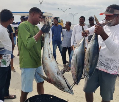 ކަނޑިތީމުގެ 'ނިލަމެހި މަސްރޭސް': އިޖުތިމާއީ ރޫހުގެ ނަމޫނާއެއް