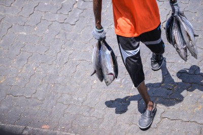 މަސްވެރިންނަށް ސަބްސިޑީ ދިނުން އިންސާފެއް ނޫން، އަގު ދަށް ކުރަން ޖެހޭ: ނާޒިމް