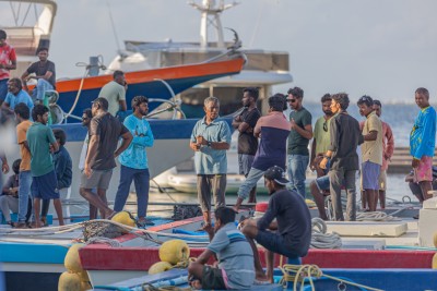 ޑީސަލްގެ އަގު ހެޔޮކުރުމުން މަސްވެރިންގެ އިހުތިޖާޖު ނިންމާލައިފި