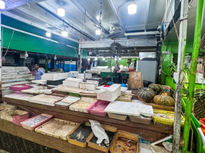 ބިދޭސީން ހައްޔަރުކުރަން ފެށުމުން މާރުކޭޓުތައް ފަޅުވަނީ