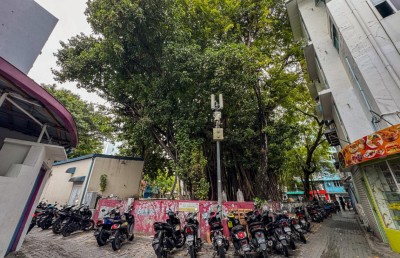 އާންމުންނަށް އުނދަގޫވާތީ މައްޗަންގޮޅި ސަހަރާގައި ހުރި ނިކަގަސް ނަގަނީ