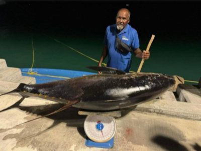 ކުޑަ ޑިންގީއެއްގައި ނުކުމެ 155 ކިލޯގެ ބޮޑު ކަންނެއްޔެއް ބާނައިފި