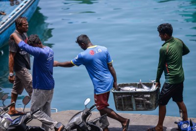 މިހާތަނަށް މަސްވެރިންނަށް ބިލިއަނަކަށް ވުރެ ގިނަ ރުފިޔާ ދޫކޮށްފި