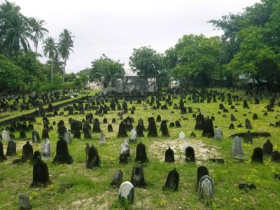 ދުވަސްވީ ހިރިގަލުގެ މަހާނަގާ ކޯގަންނައަށްވުރެ ގިނައީ ތަކަންދޫ ގަބުރުސްތާނުގައި