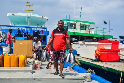 މެދު ރާއްޖެތެރޭގެ މަސްވެރިކަން ރަނގަޅުވުމުން މިފްކޯގެ މަސްކިރާ ބޯޓުތައް މާލެ ސަރަހައްދަށް