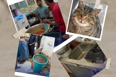 ބުޅާ މަހާއި ނުސާފު ފޯއް: މުޅިން ވެސް އިހުމާލު!