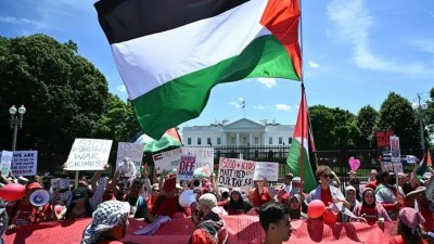 ފަލަސްތީނަށް ތާއީދުކުރާ ޖަމާއަތްތަކުން ހެރިސްގެ ކެމްޕޭނަށް ހުރަސް އަޅަނީ