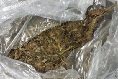 ކެނެބިސް ޓްރެފިކްކުރުމުގެ މައްސަލައިގައި މީހަކު އުމުރަށް ޖަލަށް