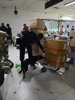 މަސްތުވާތަކެތި އެތެރެކުރުން ހުއްޓުވުމަށް އެއާޕޯޓުގައި ޑޯގު ސްކޮޑް ހަރަކާތްތެރިވަނީ