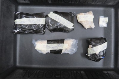 ދިވެއްސަކު ރާއްޖެ އެތެރެކުރަން އުޅުނު ތިން ކިލޯގެ މަސްތުވާތަކެތި އަތުލައިގެންފި