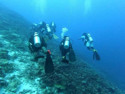 ޑައިވް ކުރުމާގުޅޭ ގަވާއިދުތަކަށް ޒަމާނީ ބަދަލު ގެންނަނީ