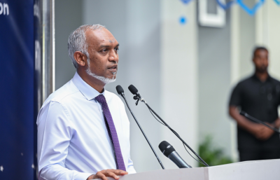 ގަސް އިންދުމަކީ ތިމާވެށީގެ މައްސަލަތަކަށް އޮތް ޚަރަދުކުޑަ ހައްލެއް: ރައީސް