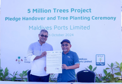 5 މިލިއަން ގަސް އިންދުން: މިހާތަނަށް 3.1 މިލިއަން ގަސް އިންދަން ހަވާލުވެއްޖެ