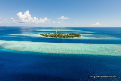 ފަތުރުވެރިއަކު ގެނބިގެން މަރުވެއްޖެ