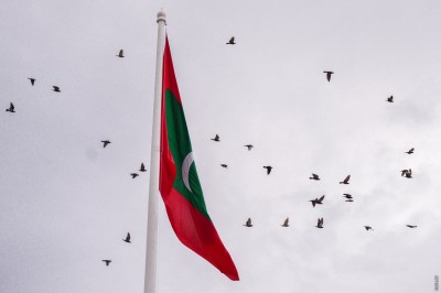 ކޮލަމް: ޖުމްހޫރީ މޭވާ ފޮނިކުރާނެ ގޮތް