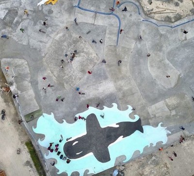 ސްކޭޓް ޕާކްގައި ބަރަހަނާކޮށް ހުރި މީހަކު ހައްޔަރުކޮށްފި