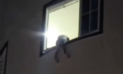 ފިތްކަނޑައިގެންދާ މަންޒަރެއް: 5ވަނަ ފްލޯއިން ކުޑަކުއްޖަކު ނުވެއްޓި ސަލާމަތްވީ ކިރިޔާ!