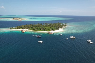 ލޯންޗެއްގެ ބުރަފަތިން ޖެހި މީހަކު މަރުވެއްޖެ