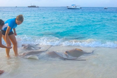 މަޑިއަށް ކާންދިނުން އިތުރުވާތީ އެކަން ނުކުރާން އީޕީއޭއިން އިލްތިމާސްކޮށްފި