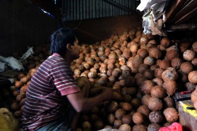 އެސްޓީއޯއިން ރޯދައަށް ގެނައި ކާށި މާދަމާ ވިއްކަން ފަށަނީ