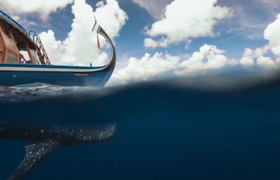 ސަމްޕާގައި ގިނަ މީހުން ބައިތިއްބައި، ހަރުދަނާ އުސޫލުތަކެއްގެ މަތިން އެތަން ބަލަހައްޓަން އެދެފި