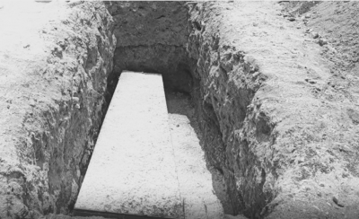 ފިރިމީހާގެ ދުލުން: އާދޭސްކުރިން، މަރުވީ ފްލައިޓަށް ނާރުވާ ރަންވޭމަތީ ދެގަޑިއިރު އޮތްފަހުން!