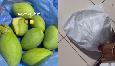 އަނެއްކާ ތެޅި އަނބު މޫސުން އައީތަ؟