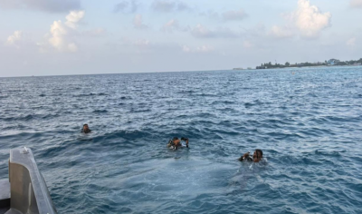 ސްނޯކްލިންއަށް ދިޔަ ފަތުރުވެރިއަކު ގެއްލިގެން ހޯދަނީ