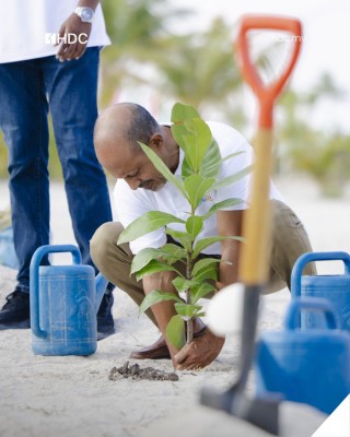 5 މިލިއަން ގަސް އިންދުމުގެ ވައުދު: އެޗްޑީސީން އެއް މިލިއަން ގަސް އިންދަނީ