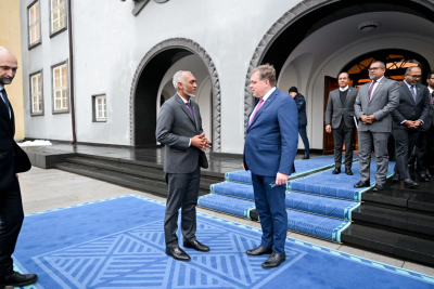 ރައީސްގެ އެސްޓޯނިއާ ދަތުރުފުޅަށް 1.3 މިލިއަން، ތަފުސީލެއް ނެތް