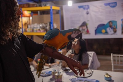 ބޮޑެތި ޖޫރިމަނާތަކަކާއެކު ހުށަހެޅި ޖަނަވާރު ރައްކާތެރިކުރުމާ ބެހޭ ބިލު، އިއްތިފާގުން ބަލައިގަނެ ކޮމިޓީއަށް