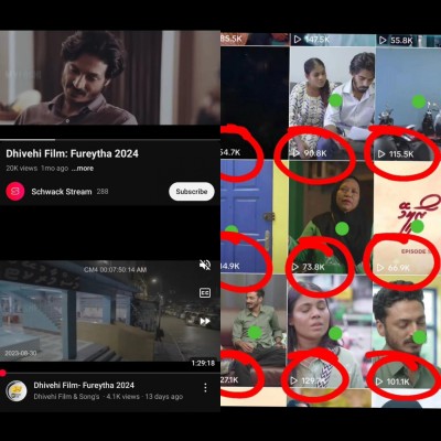 ދިވެހި އުފެއްދުންތައް ޕައިރޭޓް ކުރާތީ ކަންބޮޑުވެއްޖެ