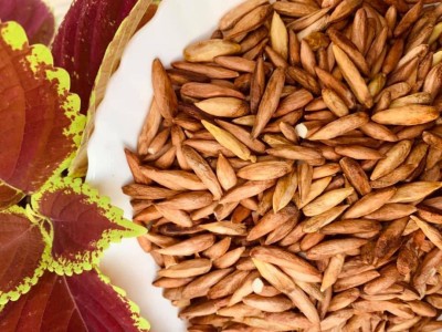 ކަނަމަދު: އަނގަޔަށް މީރު ފައިދާތައް އެހާމެ ގިނަ