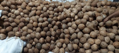 މާރުކޭޓުގައި ކާއްޓެއްގެ އަގު 40 ރުފިޔާއަށް ބޮޑުވެއްޖެ