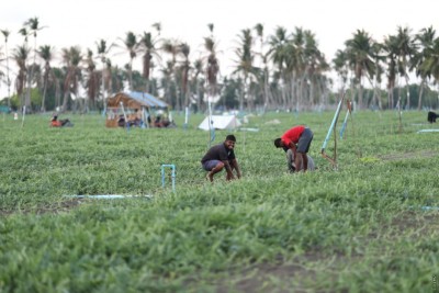 ތޮއްޑޫ ދަނޑުވެރިން: ފައިދާ ނުވިތާ ކުރި ހަރަދު ވެސް ނުލިބުނު