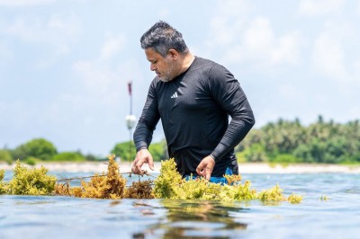 ވިޔަފާރި އުސޫލުން މޫދު ވިނަ އާލާކުރުމުގެ މަޝްރޫއެއް ފުރަތަމަ ފަހަރަށް އިފުތިތާހުކޮށްފި