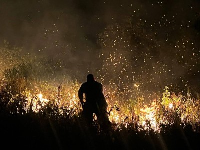 އައްޑޫ ނޭޗާ ޕާކުގައި އަލިފާނުގެ ހާދިސާއެއް؛ ބެލެވެނީ ދަނޑުއަންދަން އުޅެނިކޮށް ހިނގި ކަމެއް ކަމަށް