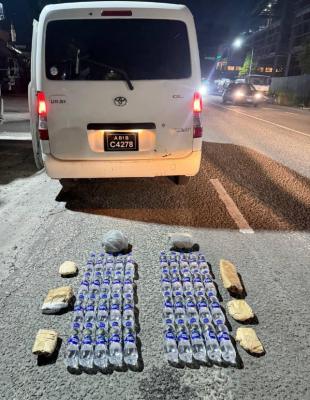 މަސްތުވާތަކެތި ކަމަށް ބެލެވޭ 40 ފުޅިއާ އެކު 2 ބިދޭސީން ހައްޔަރުކޮށްފި