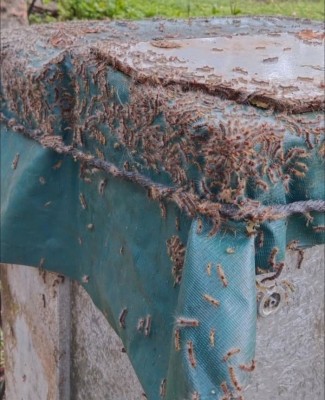 ކާޑެއްދޫ އެއާޕޯޓުގައި ހުވަނީގެ އުނދަގޫ ބޮޑުވެއްޖެ