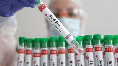 ޖަނަވާރުންނަށް ދޫނިރޯގާ ޖެހުން ދެގުނައަށް އިތުރުވެ، އިންސާނުންނަށް ނުރައްކާ ވަނީ: ރިޕޯޓް