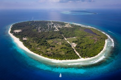 ނޮޅިވަރަމުގައި އުމުރުން ދުވަސްވީ މީހަކު މޫދަށްއެރި އުޅެނިކޮށް މަރުވެއްޖެ