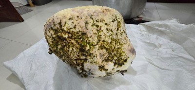 މަހަށް ނިކުތް އުކުޅަހު ޒުވާނުންތަކެއް 'ހުދަންބަރެއް' ހޮވައިފި