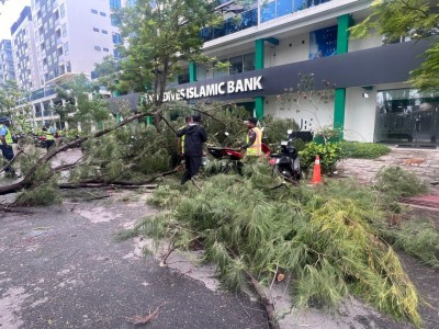 ގަދަ ވަޔާއެކު ބިޔަ ގަސްތައް ބިމާހަމަ ކޮށްލައިފި, މުޅި ރާއްޖެއަށް މޫސުން ގޯސް