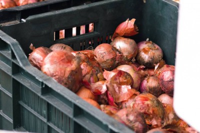 ބާޒާރުގައި ފިޔާގެ އަގު ހެޔޮވެއްޖެ، ކިލޯއެއް 20 ރުފިޔާއަށް