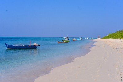 ފީނަން އުޅެނިކޮށް އެމެރިކާގެ ފަތުރުވެރިއަކު މަރުވި މައްސަލައެއް ތަހުގީގުކުރަނީ