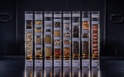 ރާއްޖޭގެ ބަރުގަސް އޮށްތަކެއް ފުރަތަމަ ފަހަރަށް ޖައްވަށް