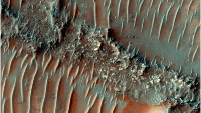 މާސްއަށް ބޯކޮށް ވާރޭވެހުނު ކަމަށް އާ ދިރާސާއަކުން ދައްކައިފި