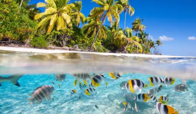 ބީއެމްއެލްގެ އާމްދަނީިން ތިމާވެށި ހިމާޔަތް ކުރުން: އަހަރަކު 5.5 މިލިއަން ރުފިޔާ ހޭދަކުރަން އަމާޒެއް