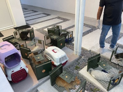 އޮޅުހިޔާއަށް އިތުރު 28 ބުޅާ ނަގައިފި، ކަރަންޓީނު ޖާގަތައް ފުރިއްޖެ