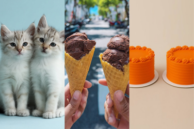 ދެ ބުޅާ، ދެ އައިސްކްރީމް، ދެ ކޭކު - ދިރާގުން ބުނަން މި އުޅެނީ ކީކޭ؟